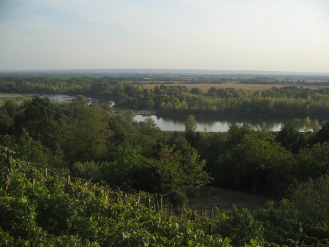 finnek 2011 019